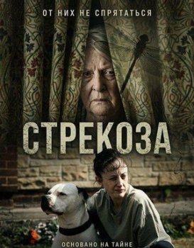 Стрекоза